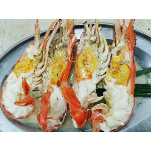 SFPR10067 [SCAMPI-U11/15] FROZEN HEAD ON SCAMPI U11/15