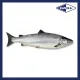 SFCH10016 [SALMON-FF-4/5] FRESH SALMON SIZE : 4-5KG