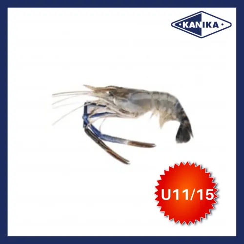 SFPR10067 [SCAMPI-U11/15] FROZEN HEAD ON SCAMPI U11/15