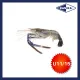 SFPR10067 [SCAMPI-U11/15] FROZEN HEAD ON SCAMPI U11/15